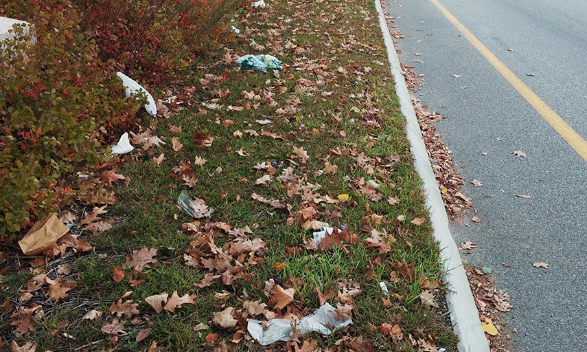 commercial litter cleanup