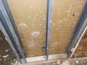 microbial growth, mold inside walls when drywall removed